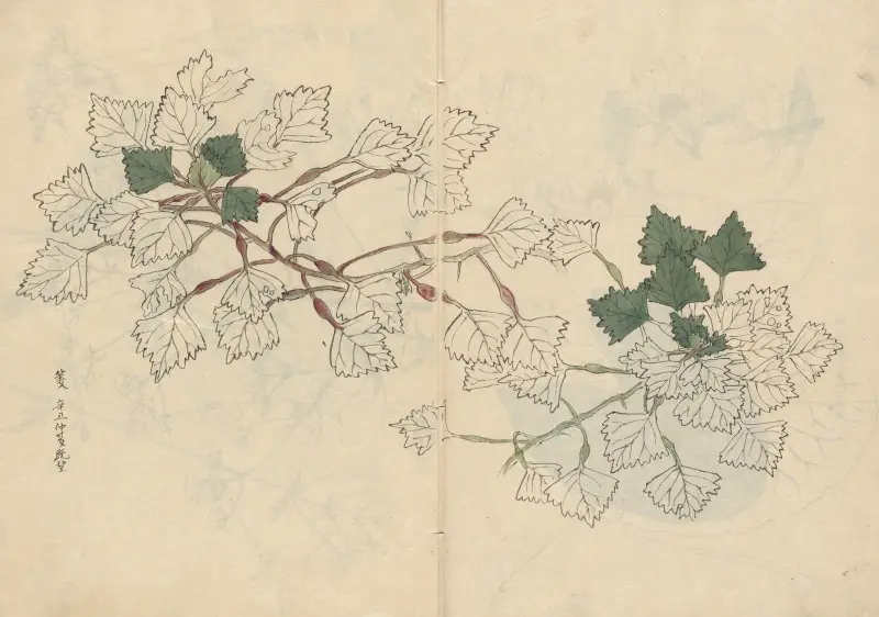 Sketchbook Pl.057 av Ariyoshi Kondo