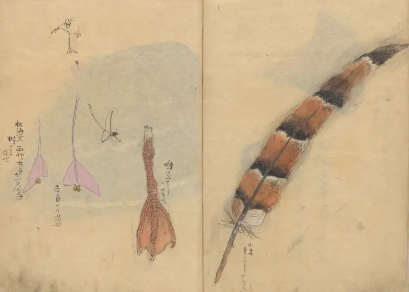 Skizzenbuch Tafel 065 von Ariyoshi Kondo