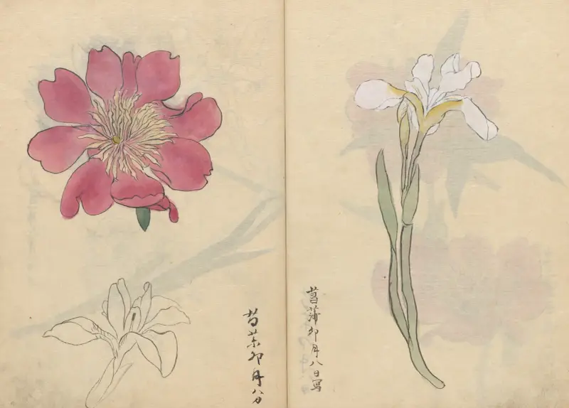 Sketchbook Pl.071 av Ariyoshi Kondo