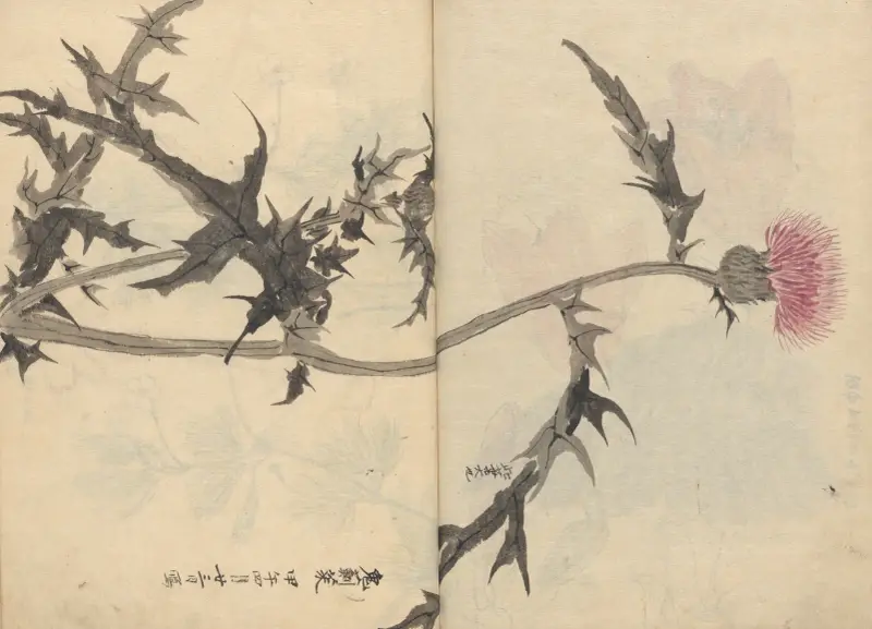 Sketchbook Pl.083 av Ariyoshi Kondo