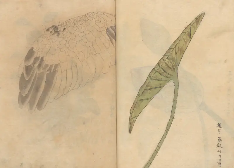 Sketchbook Pl.084 av Ariyoshi Kondo