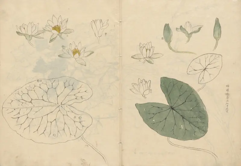 Sketchbook Pl.100 av Ariyoshi Kondo