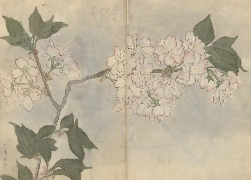 Sketchbook Pl.105 av Ariyoshi Kondo