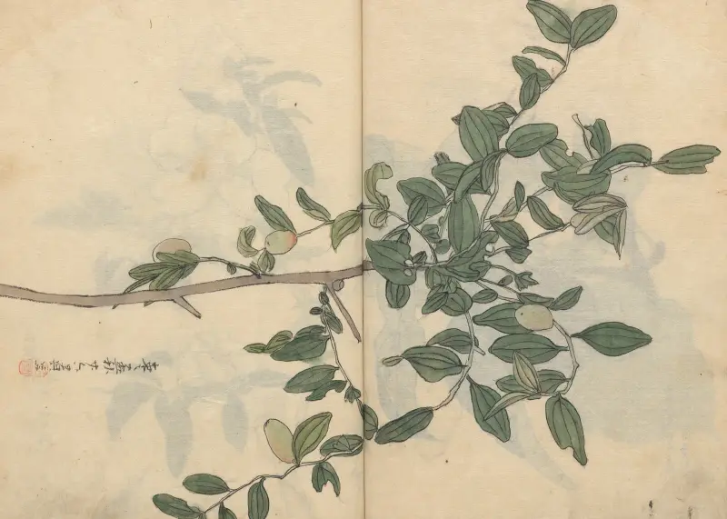 Sketchbook Pl.109 av Ariyoshi Kondo