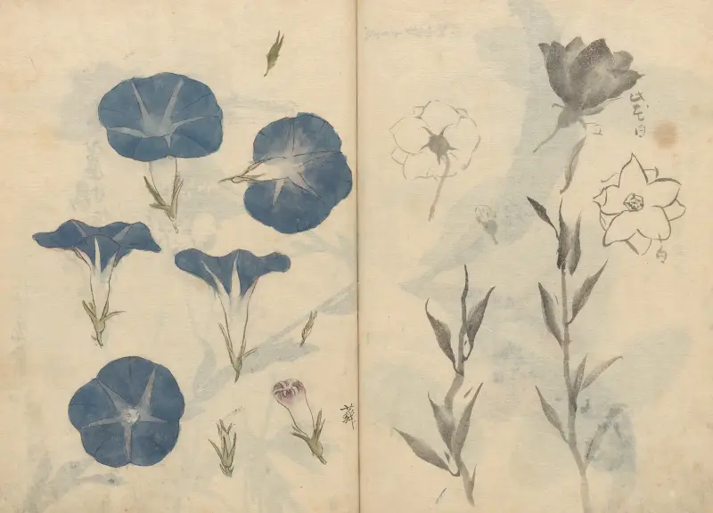 Skizzenbuch Pl. 112 von Ariyoshi Kondo