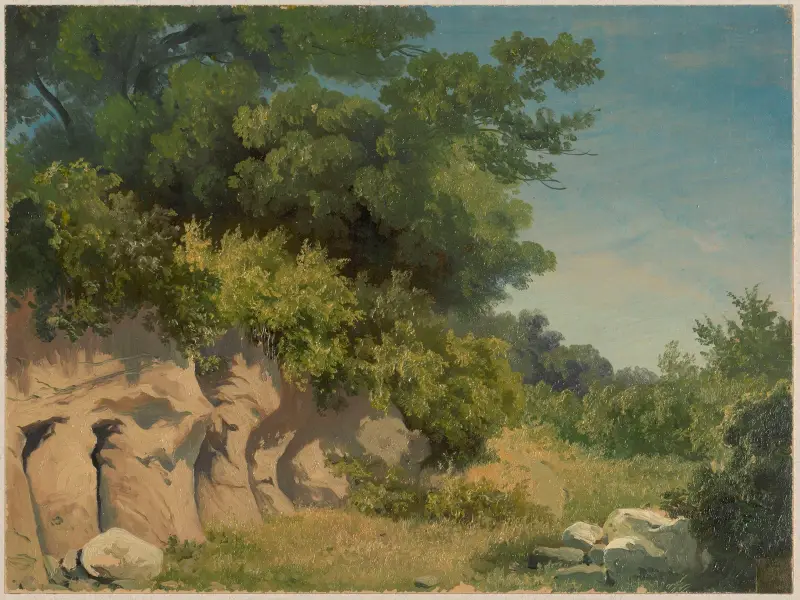 Klippe mit Bäumen von Arthur Blaschnik