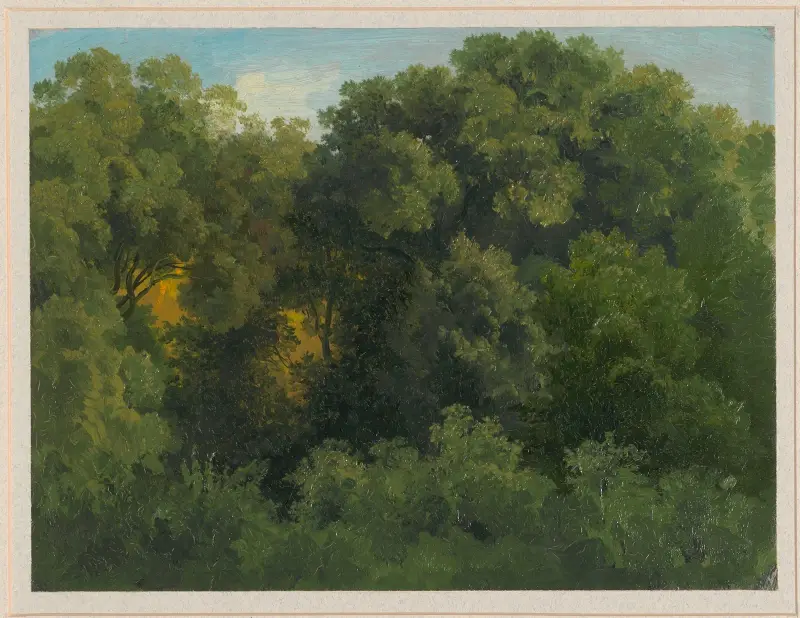 V nitru lesa, Arthur Blaschnik