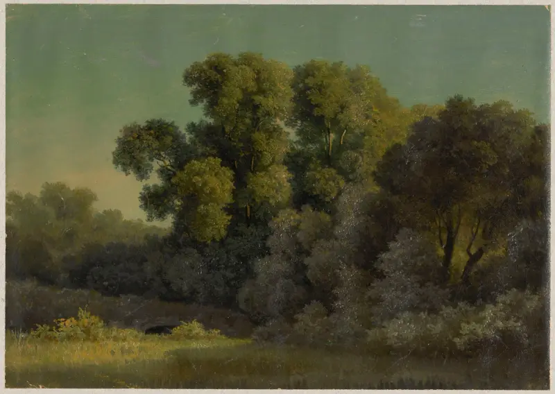 Landscape with a thicket of trees av Arthur Blaschnik