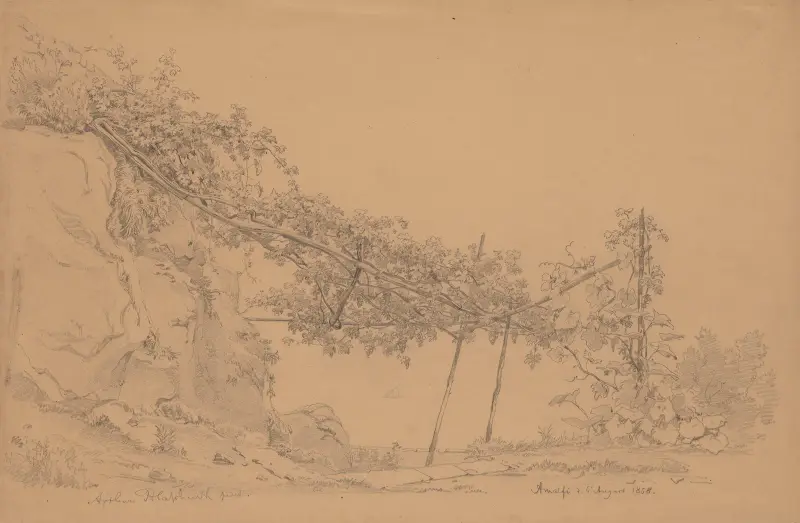 Pergola med vinranka i Amalfi av Arthur Blaschnik