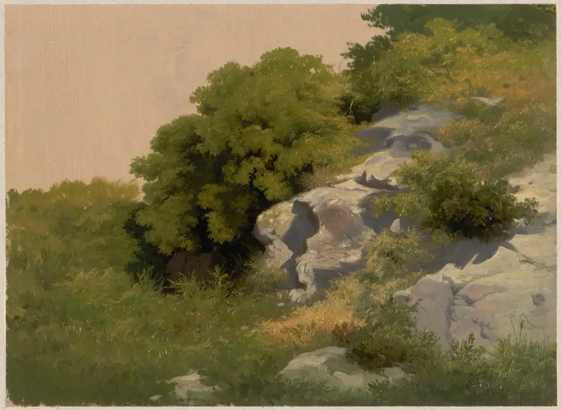 Rocks overgrown with lush vegetation av Arthur Blaschnik