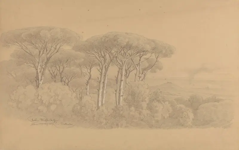 Sosny kamienne w ogrodzie Villa Barberini w Albano, Arthur Blaschnik