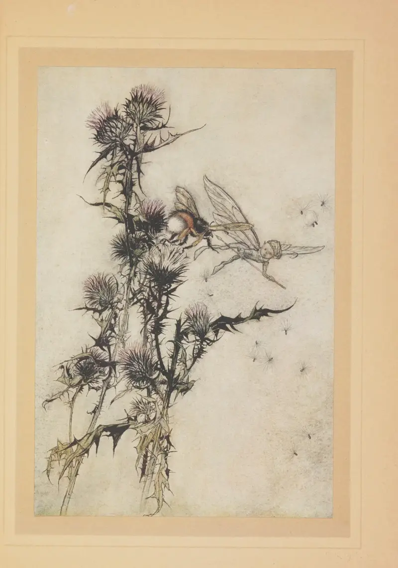 Gå och döda en humla med röda lår på spetsen av en tistel av Arthur Rackham