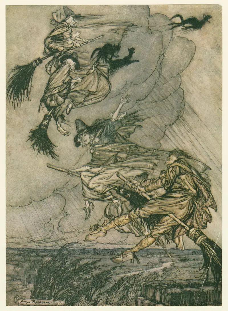 Hey! up the chimney, lass! Hey after you! av Arthur Rackham
