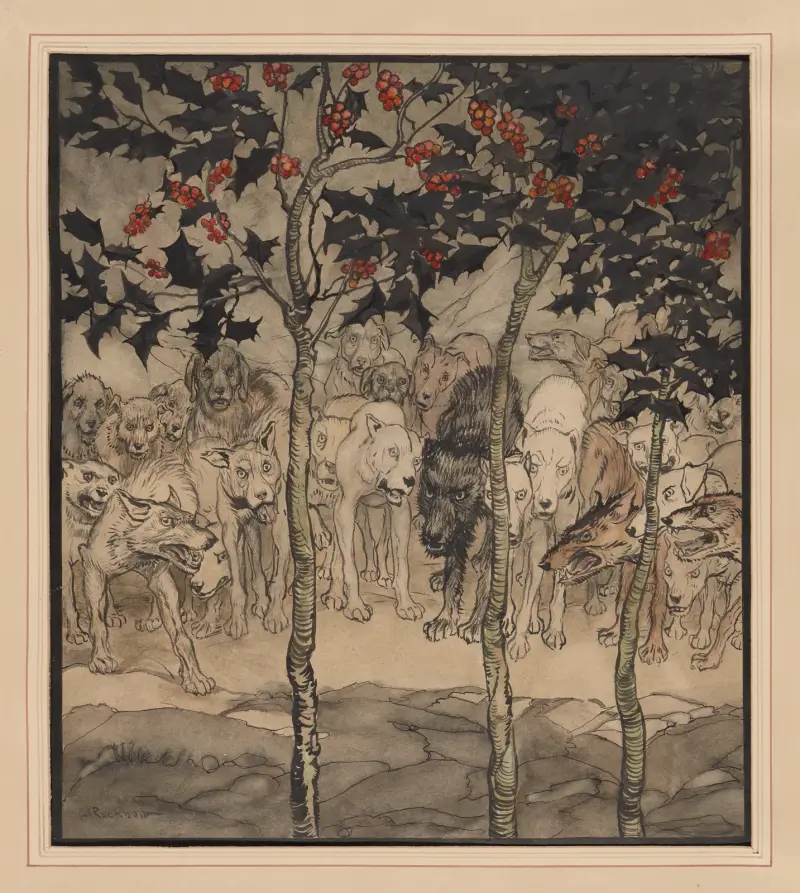 Irländska sagor. Fylld av vildhet och skräck av Arthur Rackham