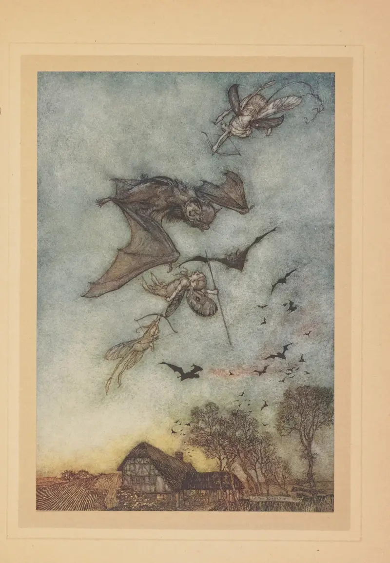 Ostatní povedou válku proti netopýrům a strhnou jim kůži z křídel, Arthur Rackham