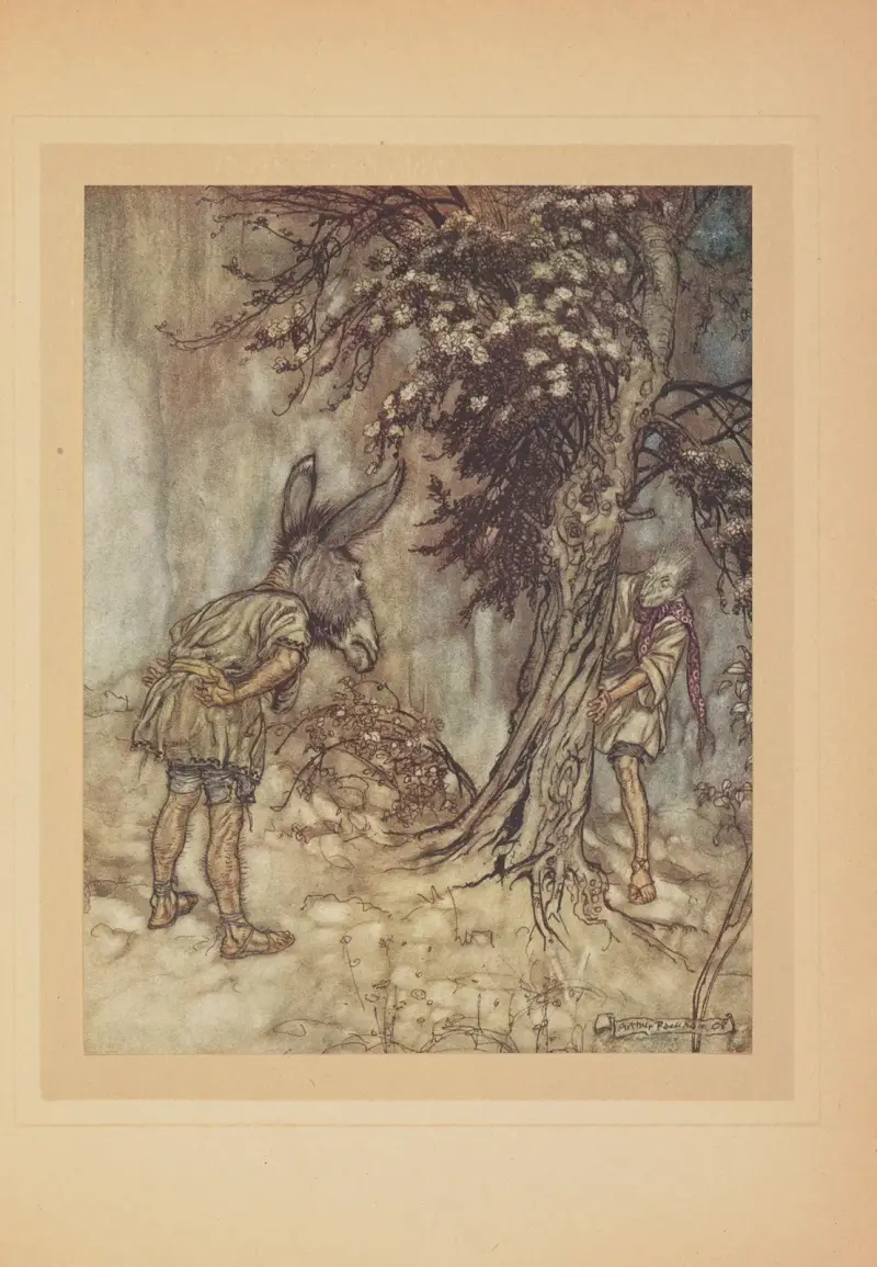 Oh! Bottom! wie du dich verändert hast! von Arthur Rackham