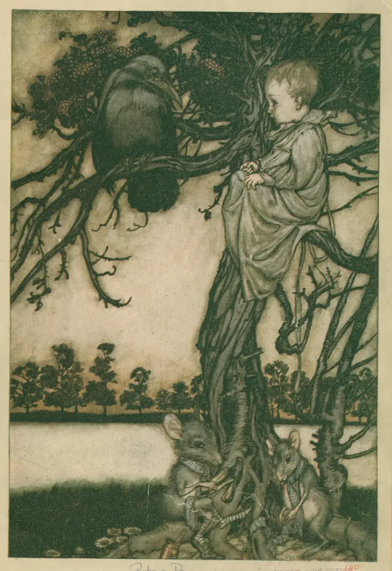 Put his strange case before old Solomon Caw av Arthur Rackham