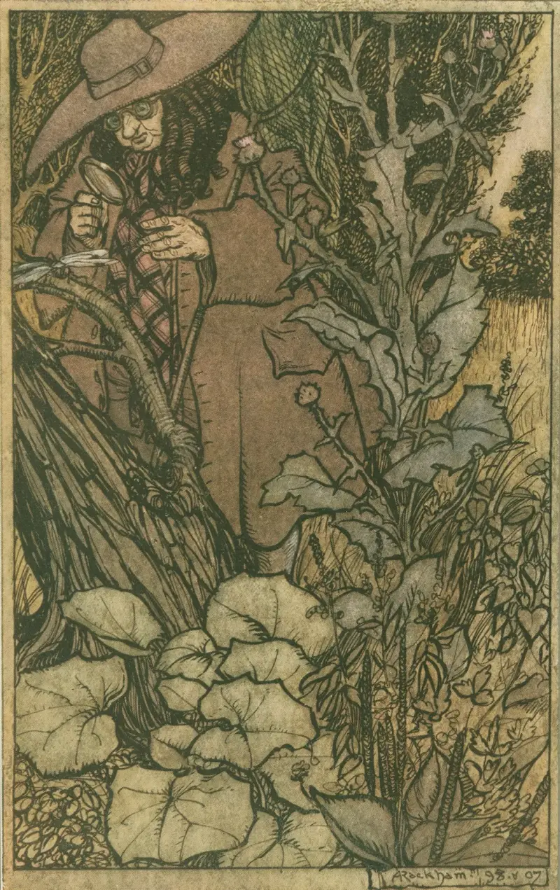 Sir Thomas, her Lord, was stout of limb. von Arthur Rackham