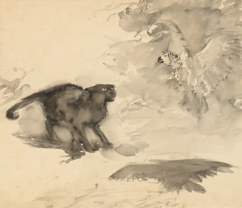 Die Katze und der Adler von Arthur Rackham