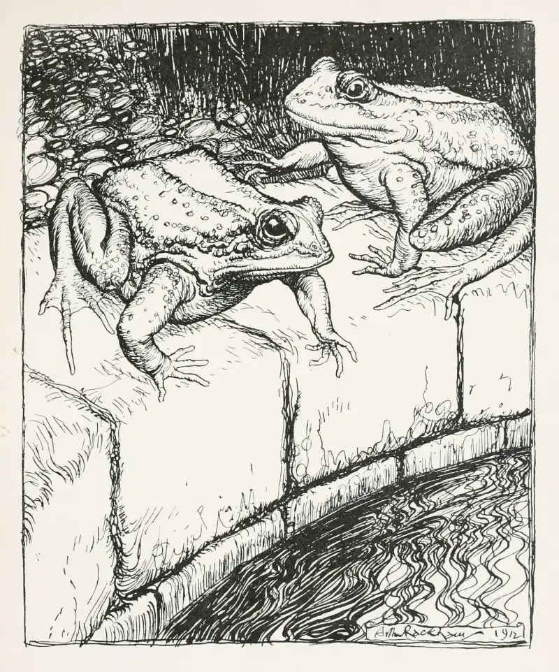 Grodorna och brunnen av Arthur Rackham
