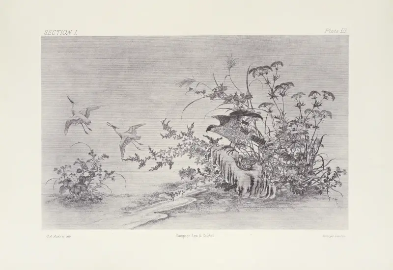 Japanska ornamentala konsthantverk, plansch 9 av George Ashdown Audsley