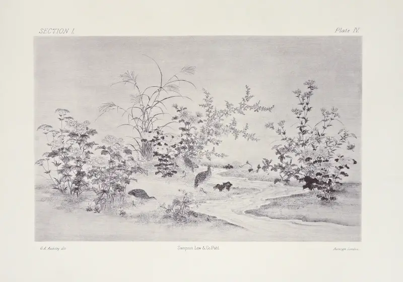 The ornamental arts of Japan Pl.010 av George Ashdown Audsley