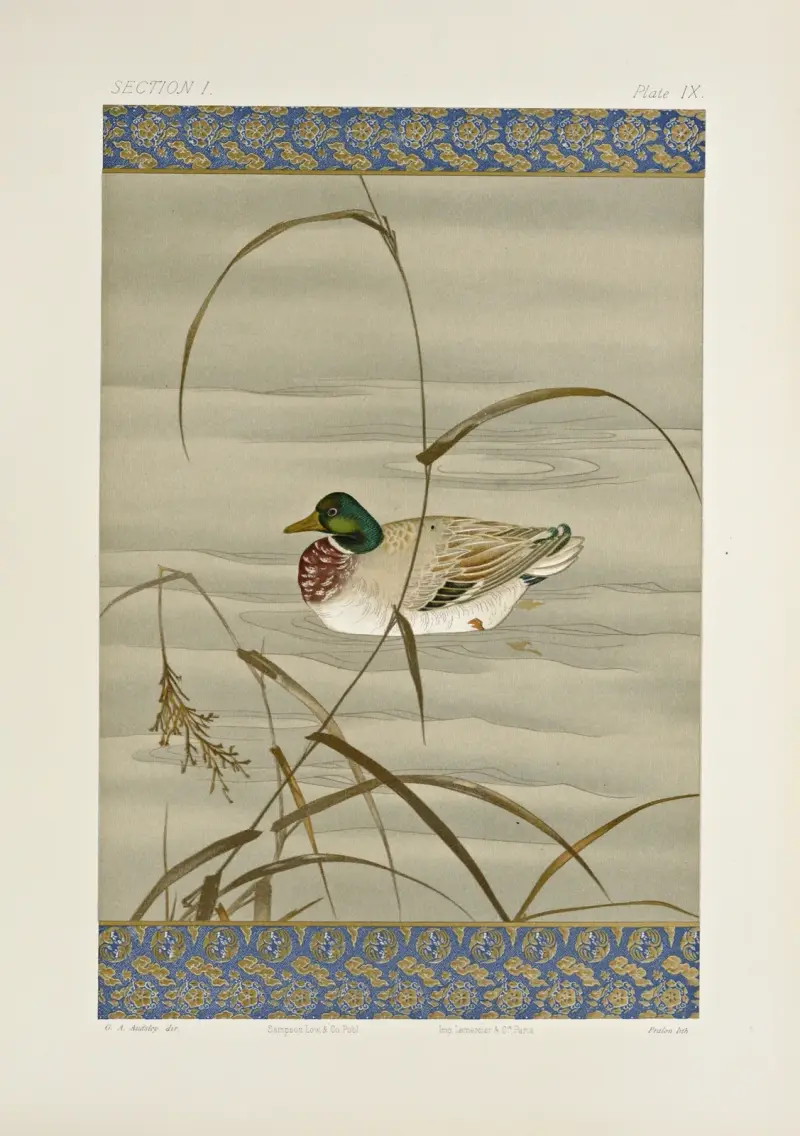The ornamental arts of Japan Pl.015 av George Ashdown Audsley