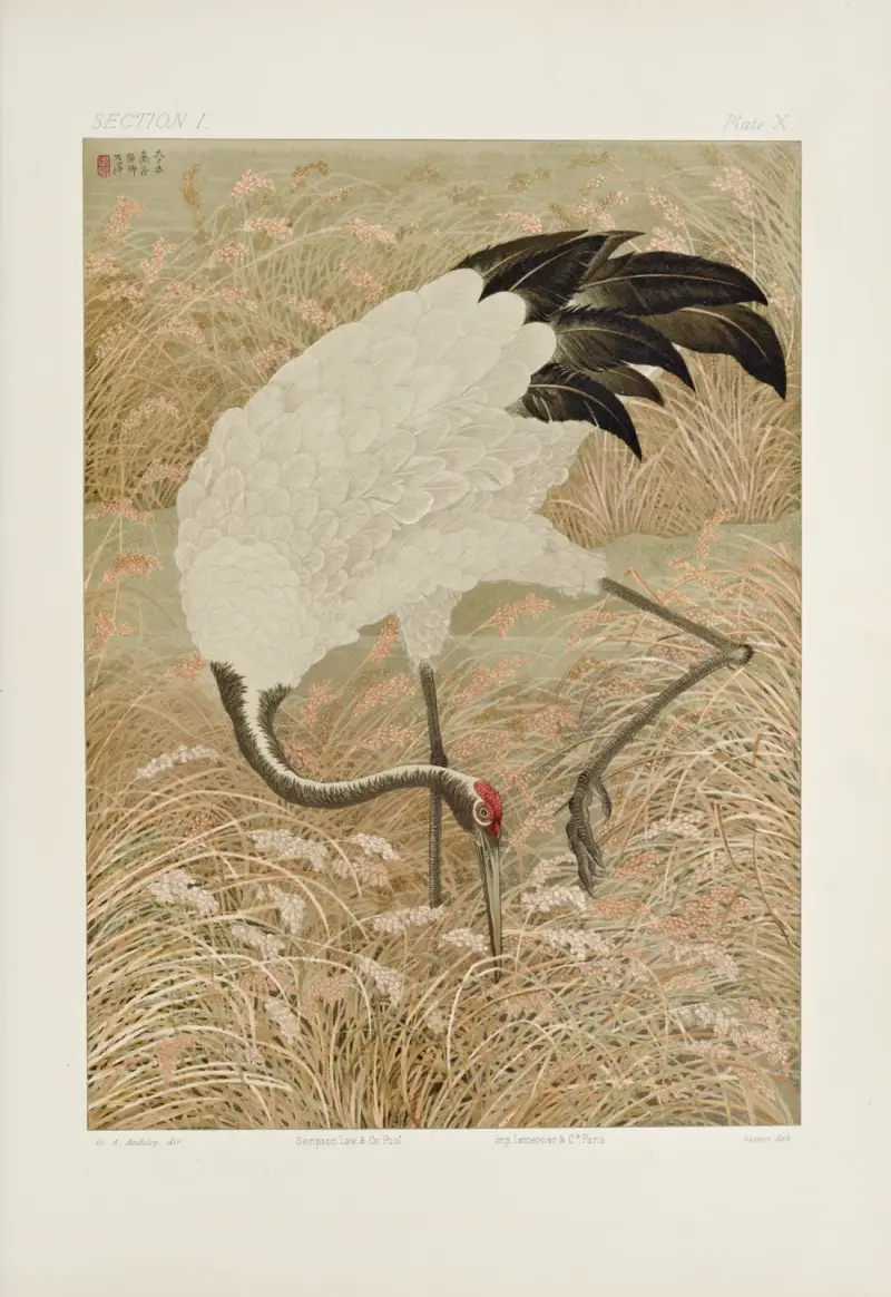 The ornamental arts of Japan Pl.016 av George Ashdown Audsley