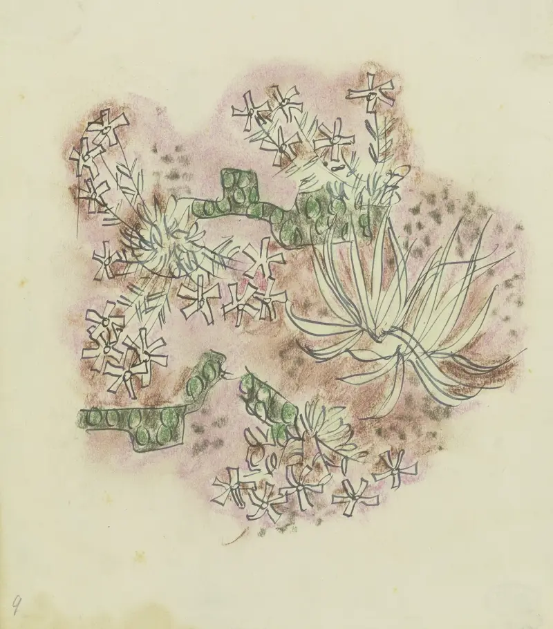 Studie von Pflanzen 3 von August Babberger