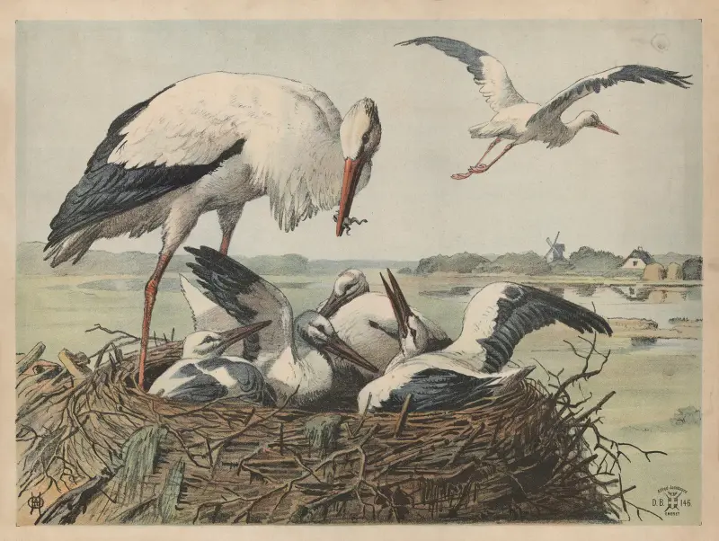 Čáp, 1892 – č. 1, Oluf August Hermansen
