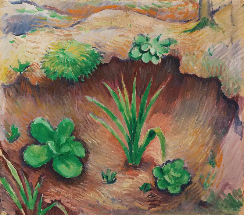 Pflänzchen im Wald von August Macke