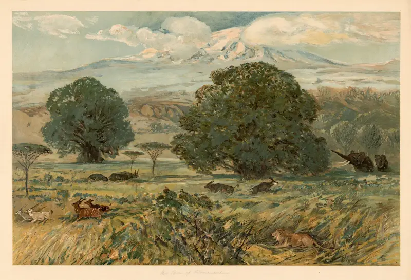 Am Fuß des Kilimandscharo von August Specht