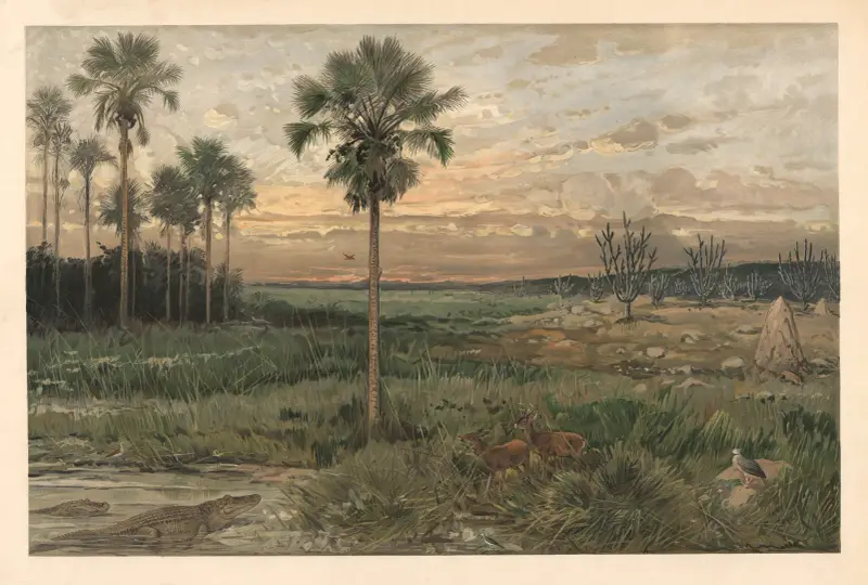Z llanos, August Specht