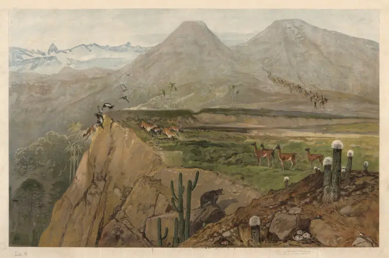 Z Kordiller, August Specht
