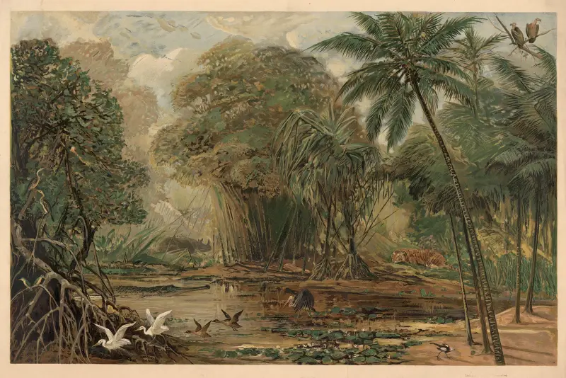 Gangesdeltat, August Specht