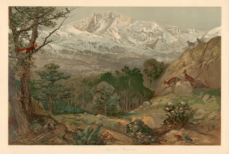 Himálaj, August Specht