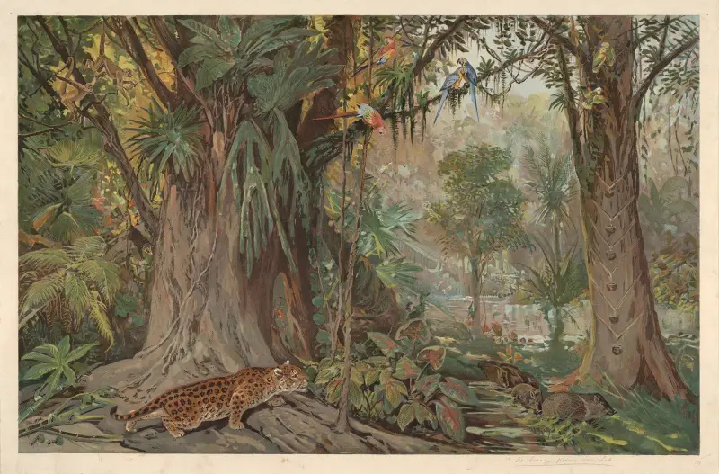 On the upper reaches of the Amazon River av August Specht