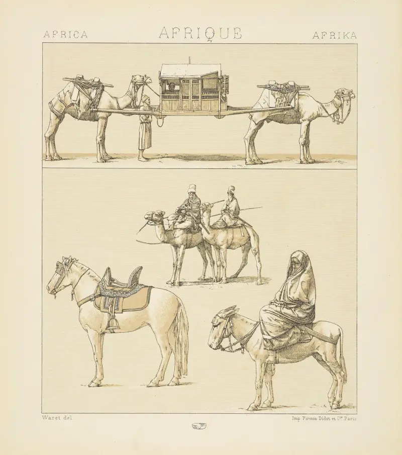 Transportdjur; en touareg, en egyptisk kvinna i stadsdräkt av Auguste Racinet
