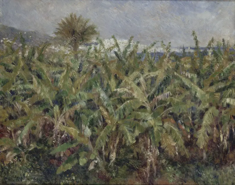 Field of Banana Trees av Pierre-Auguste Renoir