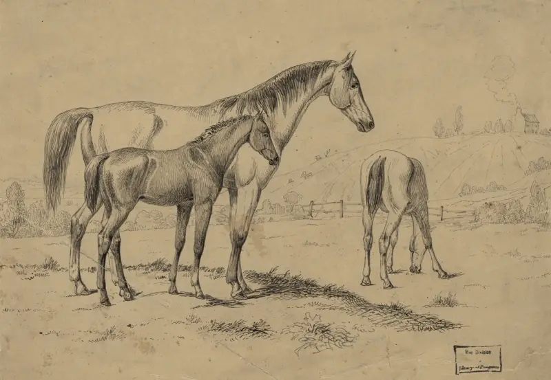 Washington city north of Capitol in 1839 av Augustus Köllner