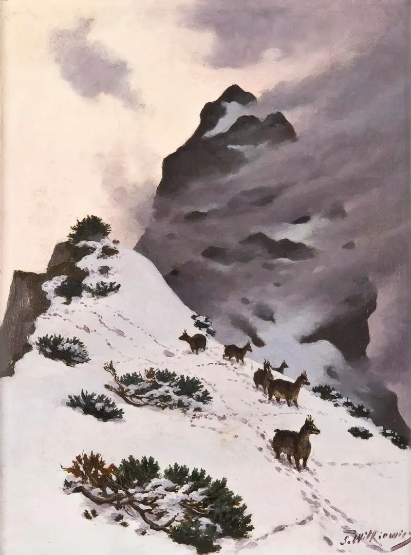 Kozice w górach, Stanisław Witkiewicz
