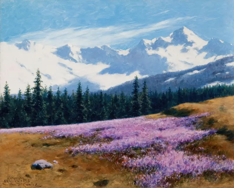 Krokusse vor schneebedeckten Bergen von Stanisław Witkiewicz