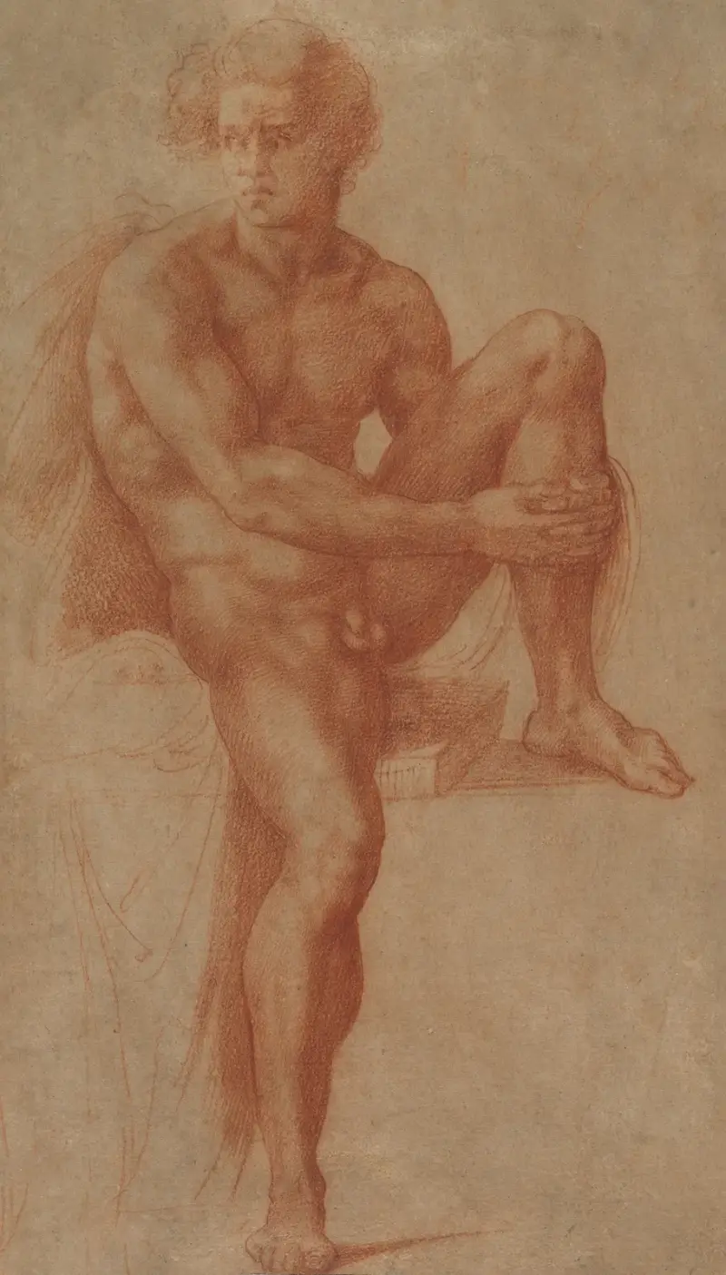 Seated Male Nude av Baccio Bandinelli