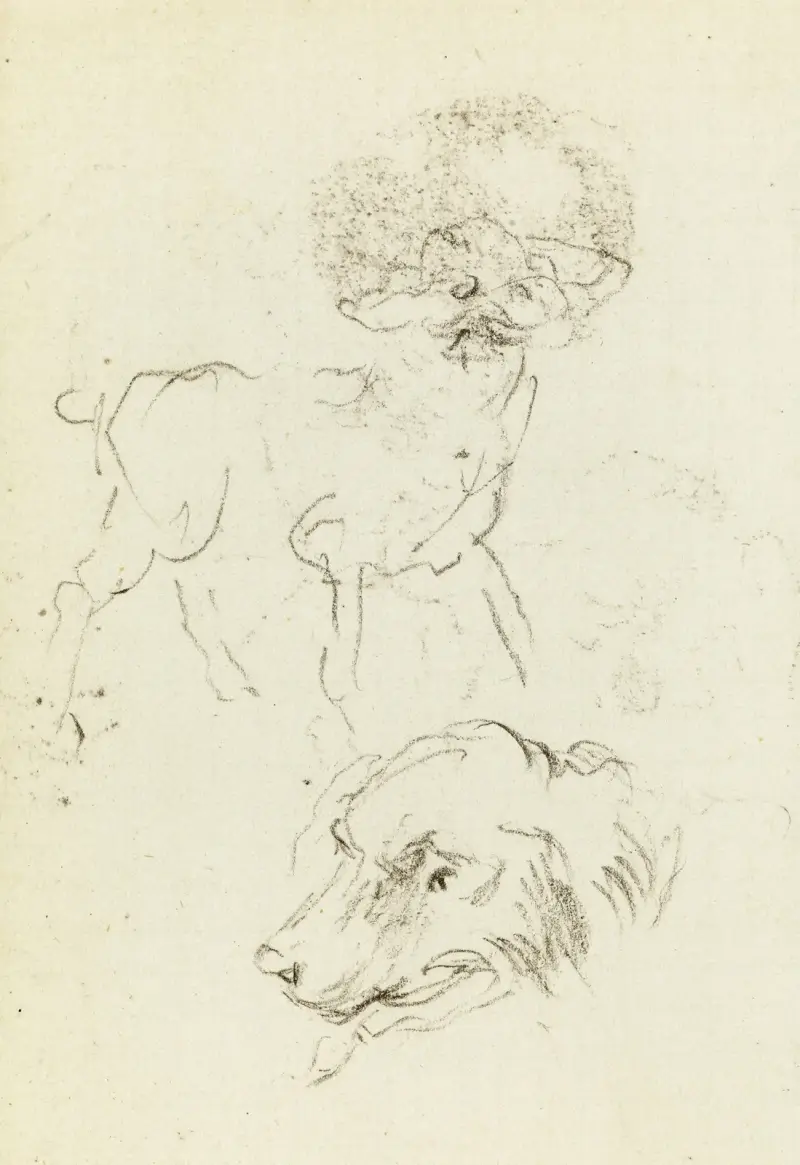 Studie av hund och hundhuvud av Jean-Baptiste Carpeaux