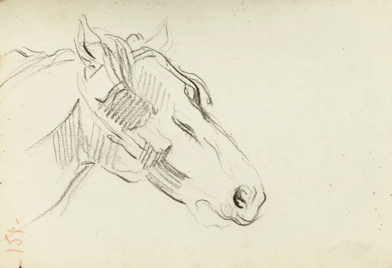 Etude de tête de cheval av Jean-Baptiste Carpeaux