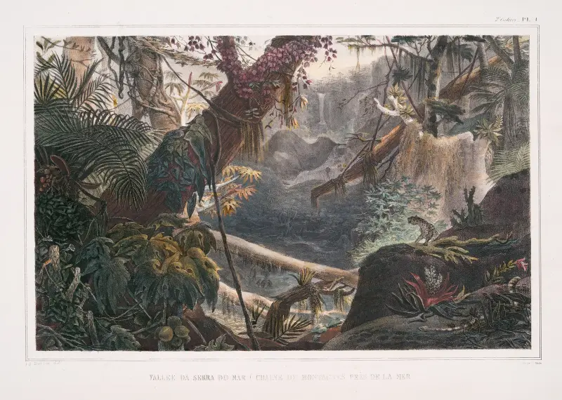 Dalarna i Serra do Mar (Bergskedja nära havet) av Jean Baptiste Debret