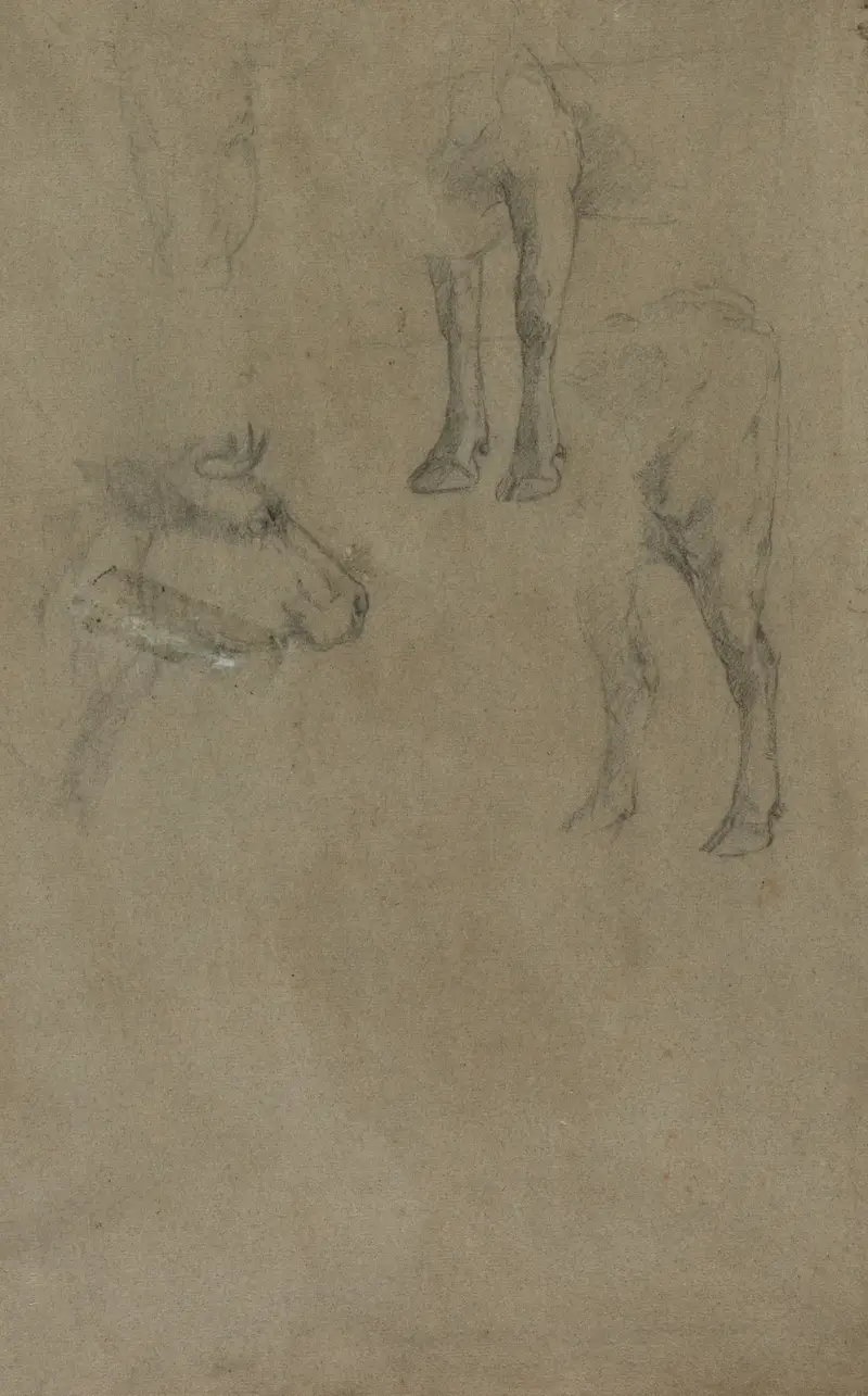 Studier av en tjur av Johan Barthold Jongkind