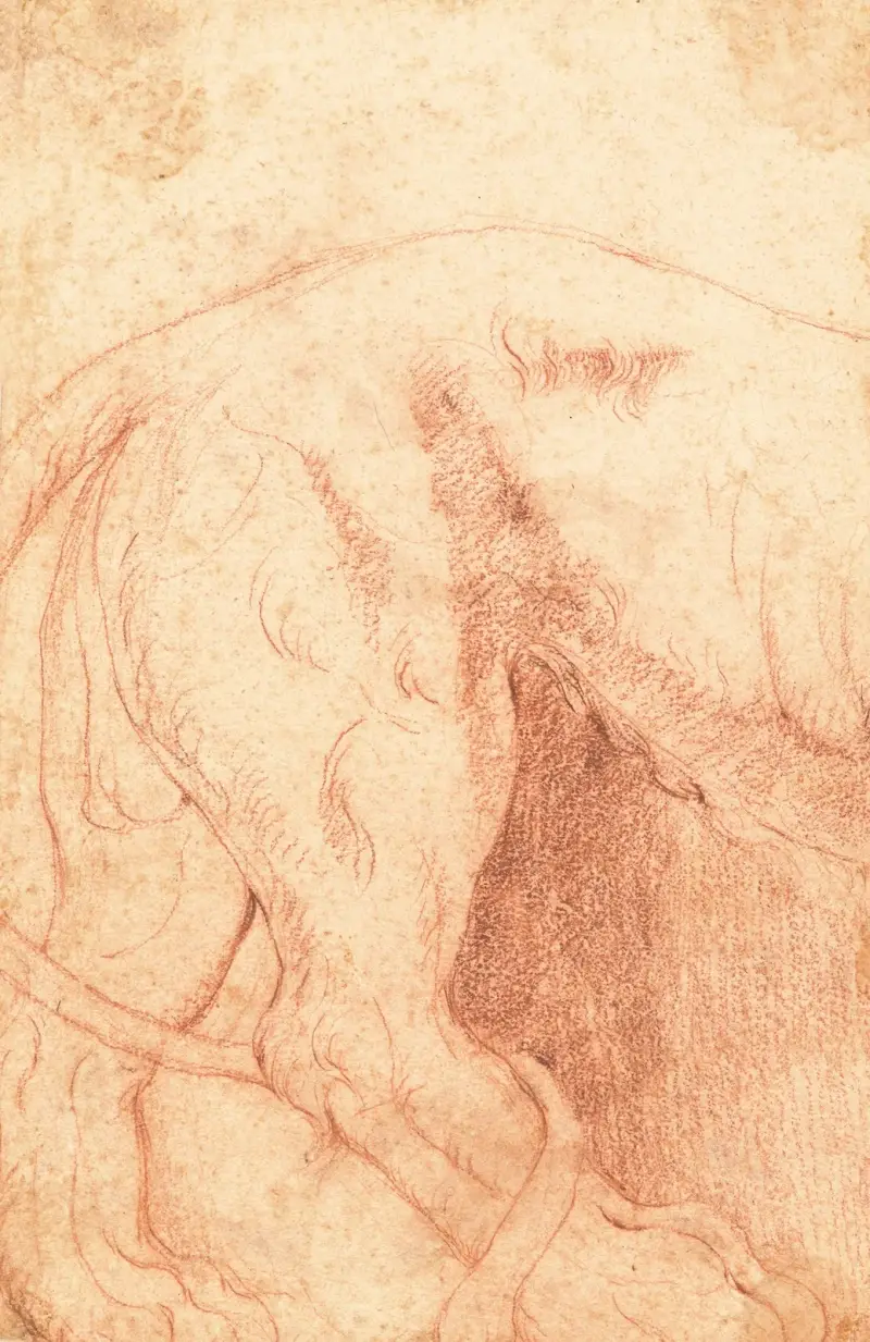 Fragment of a Lion Bas-Relief (verso) av Giovanni Battista Piranesi