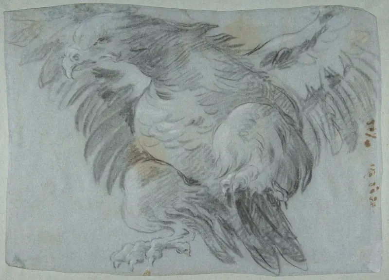 En örn med utbredda vingar av Giovanni Battista Tiepolo