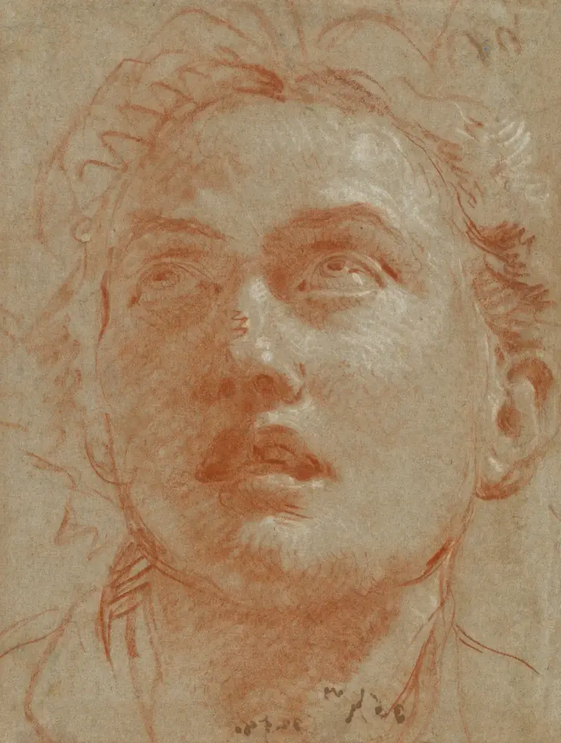 Manshuvud som ser upp av Giovanni Battista Tiepolo